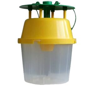 Box tree moth trap